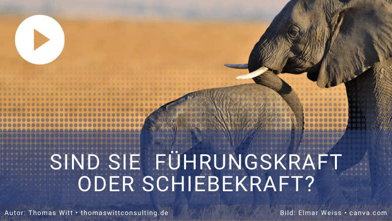 Führungskräfte und Schiebekräfte - Thomas Witt